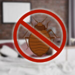 3 Tips to Prevent Parasite Problems in Your Storage Unit